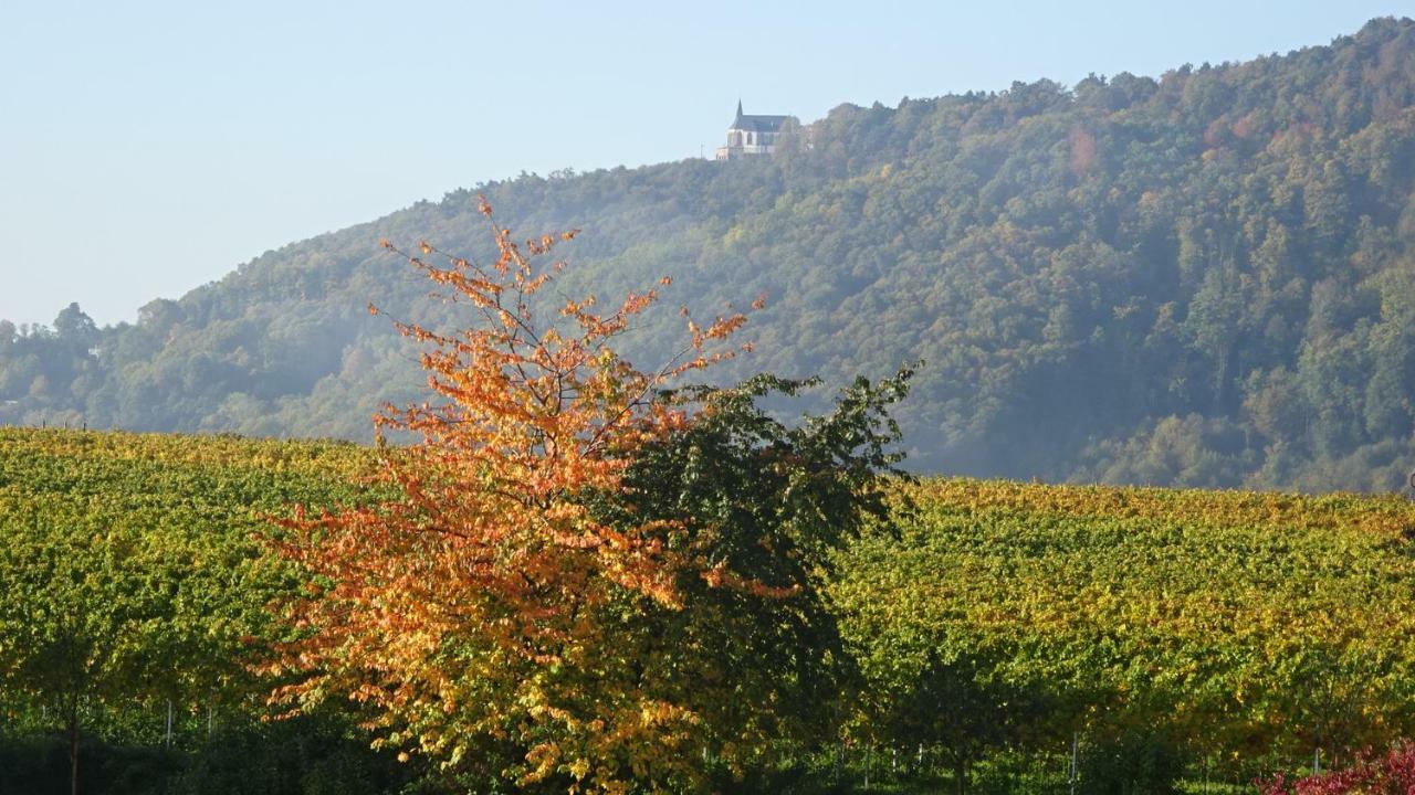 Gaestehaus Moni Jaeger Weyher Esterno foto