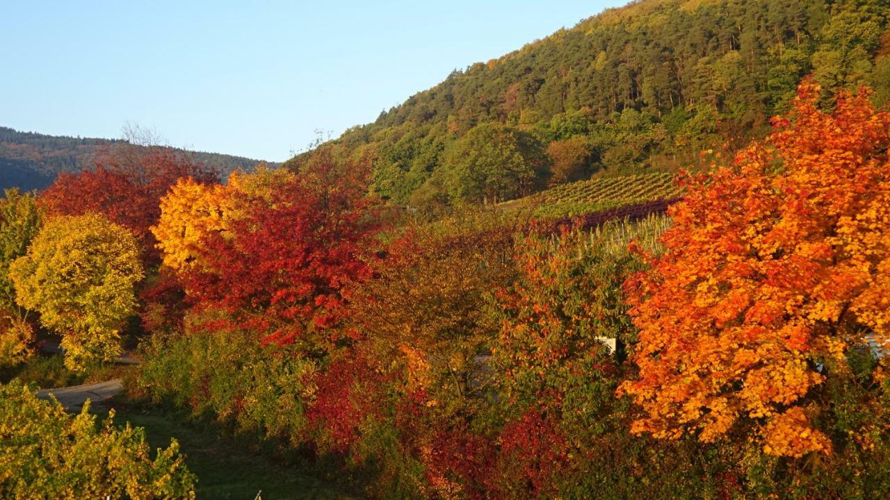 Gaestehaus Moni Jaeger Weyher Esterno foto